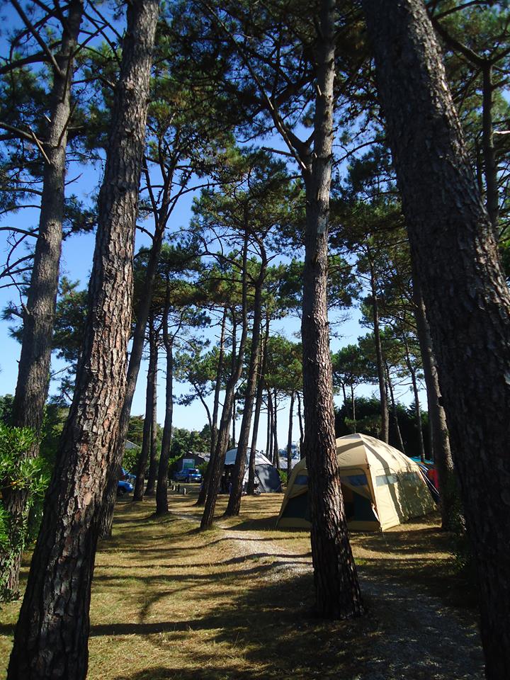 camping playa de tauran 9234 