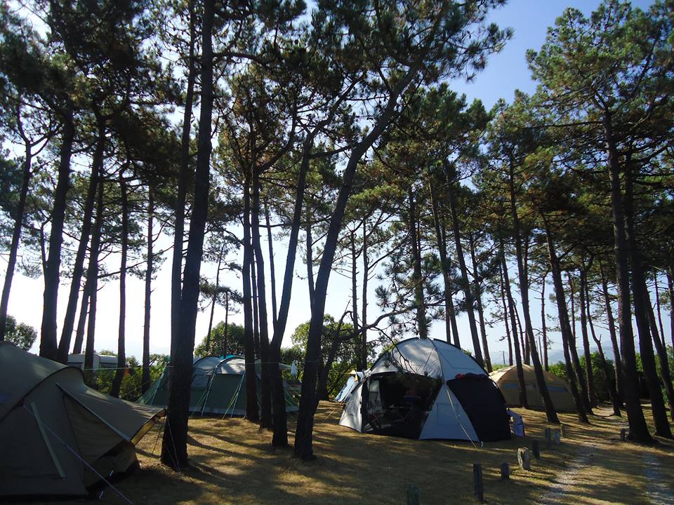 camping playa de tauran 9236 