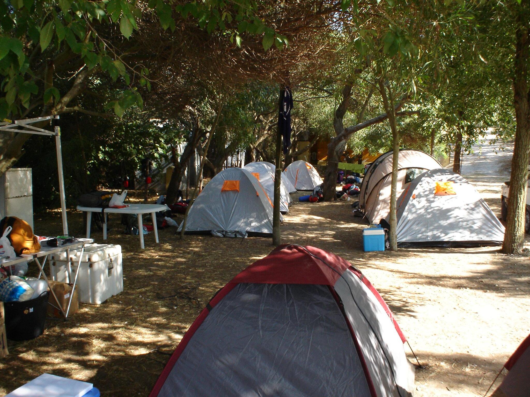 camping medina sidonia 12290 