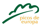 Càmping Picos de Europa